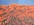 Expressive Dünenlandschaft, Acryl auf Leinwand, von Peter Genßler, signiert , Original, Unikat